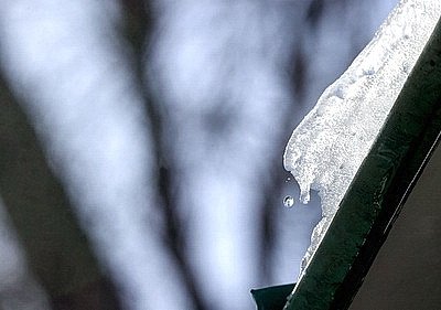 Первый весенний день