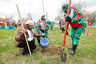 \"Символ мая, Победы, добра и плодородия\". В Беларуси проходит акция \"Яблоневый сад\"