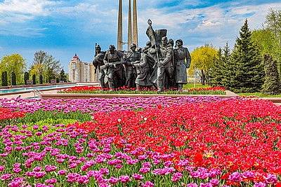 Сотни тысяч тюльпанов в преддверии Дня Победы расцвели в городах Беларуси
