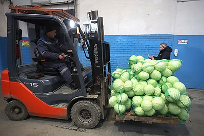Как в Гродненской области хранят и реализуют плодоовощную продукцию