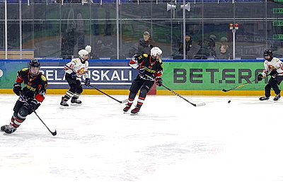 В Гомеле стартовал областной этап соревнований \"Золотая шайба\" в старшей группе