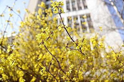 ФОТОХРОНИКА начинает новый информационный день