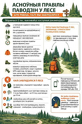 Инфографика. Основные правила поведения в лесу