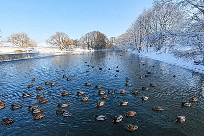 Зимний пейзаж