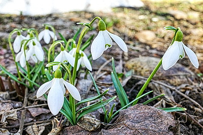 ФОТОХРОНИКА начинает новый информационный день