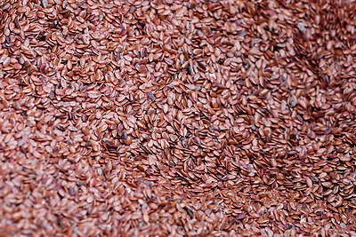 В Могилевском районе стартовал сев селекционных образцов льна-долгунца