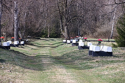 Республиканский субботник: коллектив Администрации Президента принял участие в благоустройстве мемориального комплекса и посадке леса