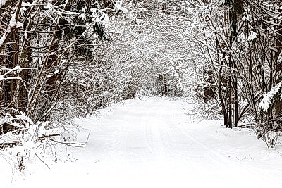 Снежный зимний день
