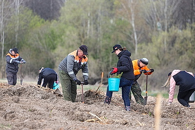 Молодой лес, обновленные улицы, цветники: Жировичи всем миром вышли на субботник