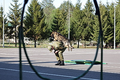 Более 300 участников объединил молодежный военно-патриотический форум в Гомеле
