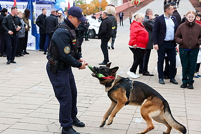 \"Семья! Служим вместе!\". В Бресте наградили финалистов республиканской акции МВД