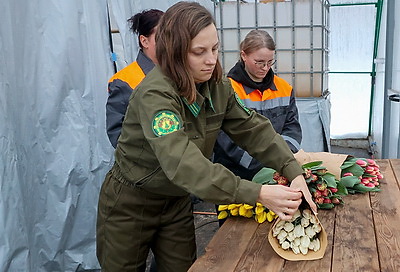 Более 15 тыс. луковиц тюльпанов высадили лесоводы Петриковского лесхоза в нынешнем сезоне
