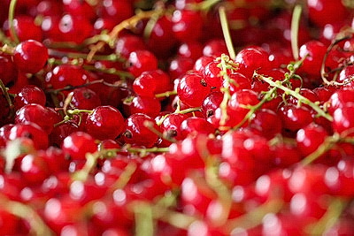 Cезон заготовок: Белкоопсоюз принимает продукцию у населения
