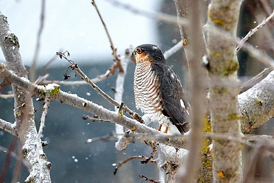 ФОТОХРОНИКА начинает новый информационный день