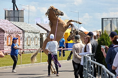 \"Белагро-2026\". От флагманских моделей до новинок