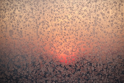 ФОТОХРОНИКА начинает новый информационный день