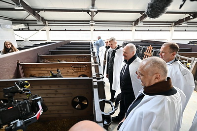 Лукашенко в Витебской области ознакомился с современным проектом в области мясного животноводства