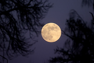 Снежная Луна в небе над Беларусью