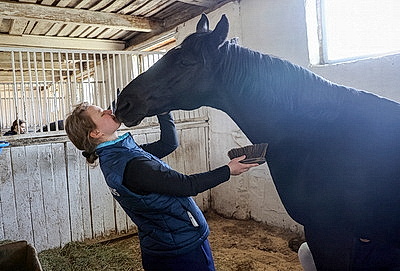Олимпийские дни молодежи по выездке стартовали в Гомеле