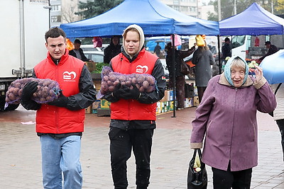 Волонтеры БРСМ помогают пенсионерам с доставкой продукции с сельхозярмарок