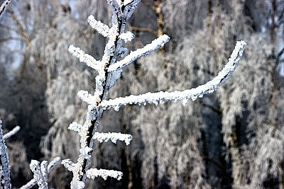 Ночью до -25..-30°С ожидается в Беларуси 15 января