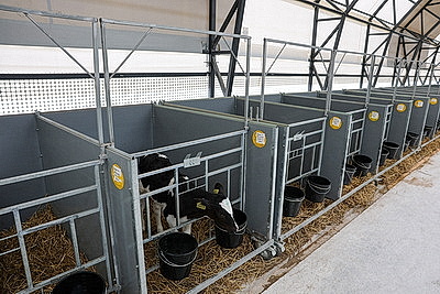 Лукашенко совершил рабочую поездку в Петриковский район