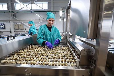 Турчин посетил Солигорскую птицефабрику