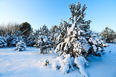 Зимний пейзаж