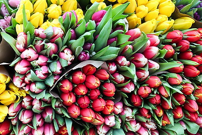 Атмосфера на улицах белорусских городов в преддверии 8 Марта