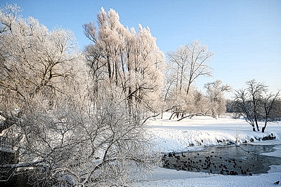 Солнечный январский день в Минске