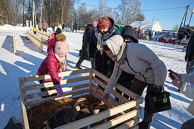 Гусиные забеги, обряды и много песен. В Костюковичском районе провели \"Гусінае свята\"