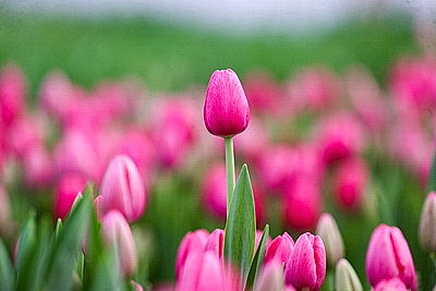 ФОТОХРОНИКА начинает новый информационный день