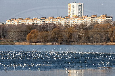 ФОТОХРОНИКА начинает новый информационный день