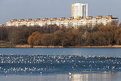 ФОТОХРОНИКА начинает новый информационный день