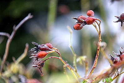 Стеклянный дождь в Гродно