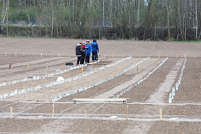 В Могилевском районе стартовал сев селекционных образцов льна-долгунца