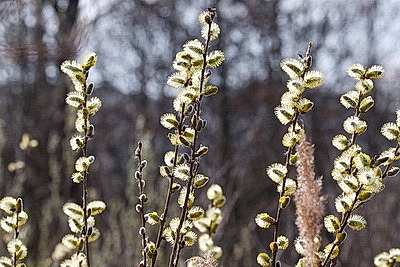 ФОТОХРОНИКА начинает новый информационный день