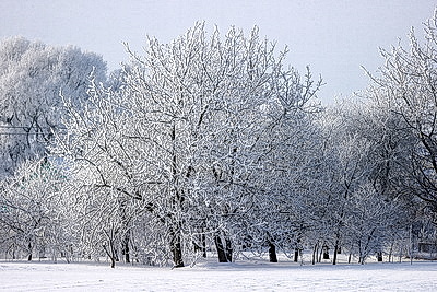 Ночью до -25..-30°С ожидается в Беларуси 15 января