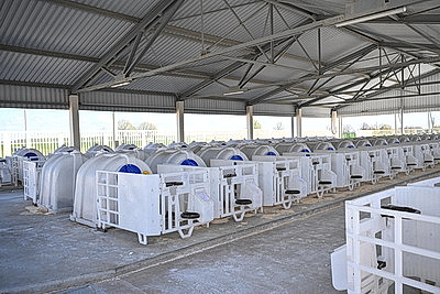 Сельское хозяйство и \"кондитерка\". Лукашенко посетил Наровлянский район