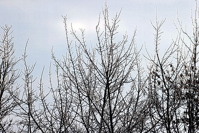 ФОТОХРОНИКА начинает новый информационный день