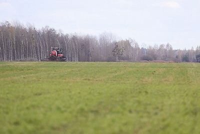 В Лунинецком районе завершили сев зерновых и приступили к травам