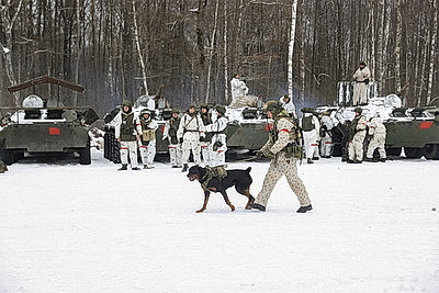 Соединение сил спецопераций в Бресте приведено в повышенную готовность во время проверки ВС