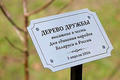 \"Строить будущее вместе\". Студенты Беларуси и России приняли участие в высадке Дерева дружбы в Минске