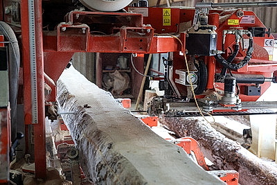 Кличевский лесхоз наладил безотходный цикл производства