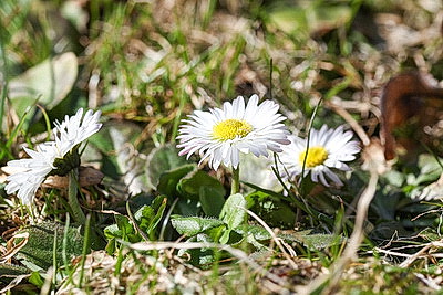 Солнечный весенний день в Минске