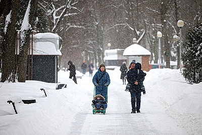 Морозный зимний день: снегопад не повод сидеть дома для активных жителей