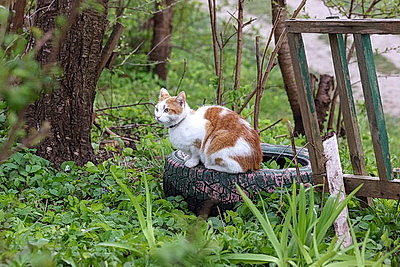 Минск. Прогулка по старым кварталам