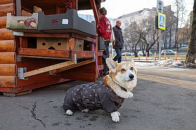 Минск. Прогулка по старым кварталам