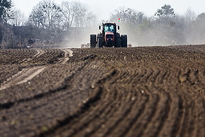 В Минской области весенний сев начали с ярового ячменя