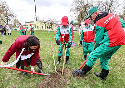 \"Символ мая, Победы, добра и плодородия\". В Беларуси проходит акция \"Яблоневый сад\"